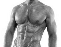 free workout program